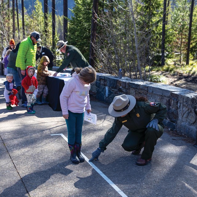 A child stands next to a white line of tape with numbers on it. A park ranger points at the line.