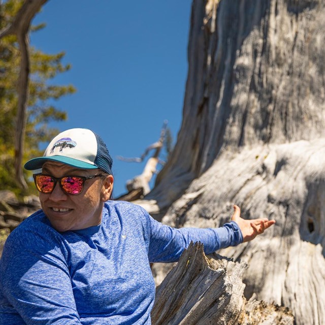 A smiling woman points back to a large, dead tree.