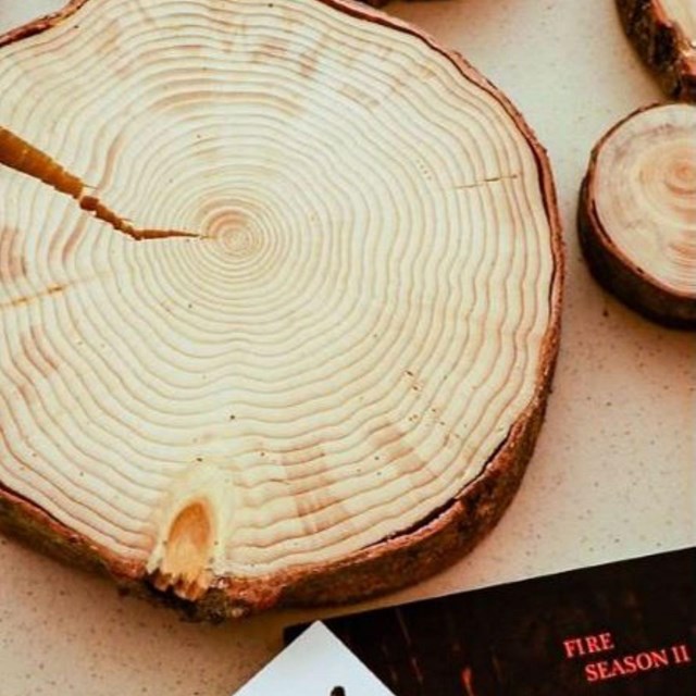 A cross-section of a tree on a table next to a black book that reads 