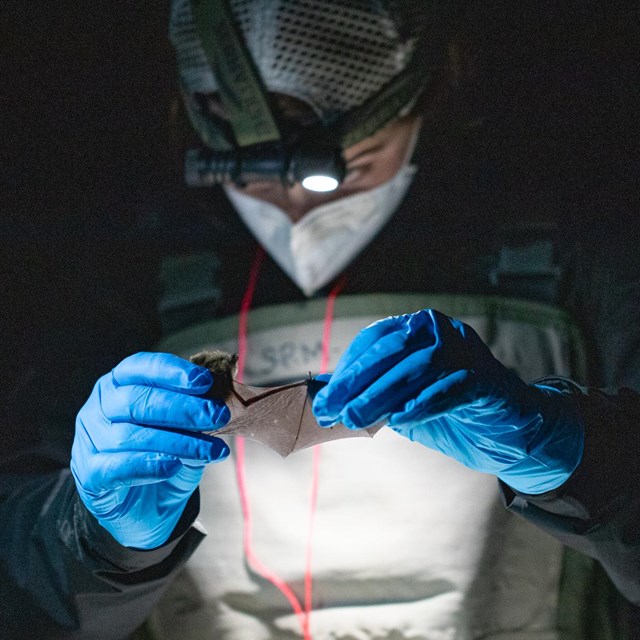 A person holding a bat