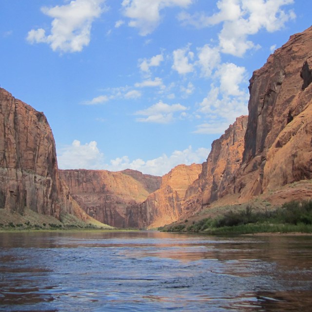 Placid Colorado River lined by shoreline vegetation and towering sandstone canyon walls