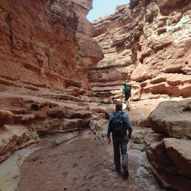 Hikers on trail in canyon 