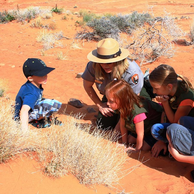 Ranger crouches in the desert with children in junior ranger vests