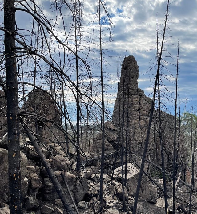 A pillar of rock rises from a burned-over forest.