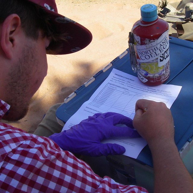 A man in a red-checked shirt writes on a datasheet while sitting in the shade.