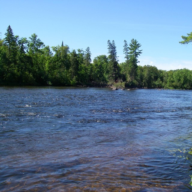 River with forested banks