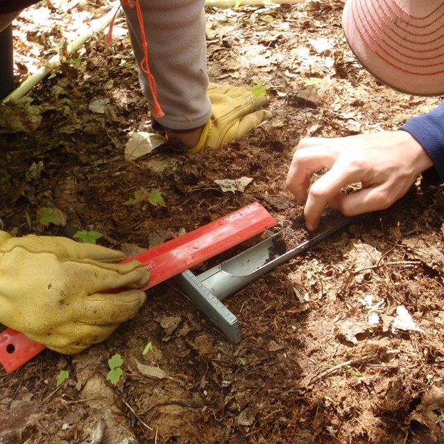 Taking a soil sample