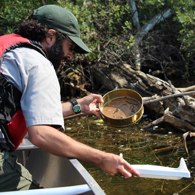 Biologist runs lake water through a sieve.