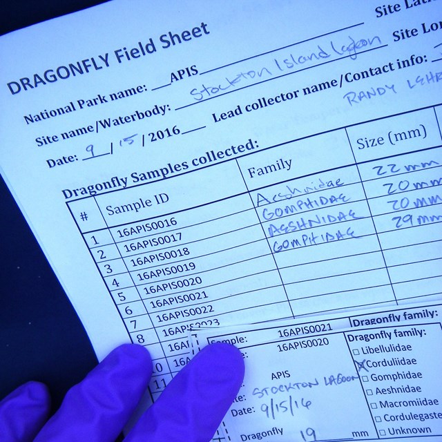 A gloved hand holds a datasheet and a label.