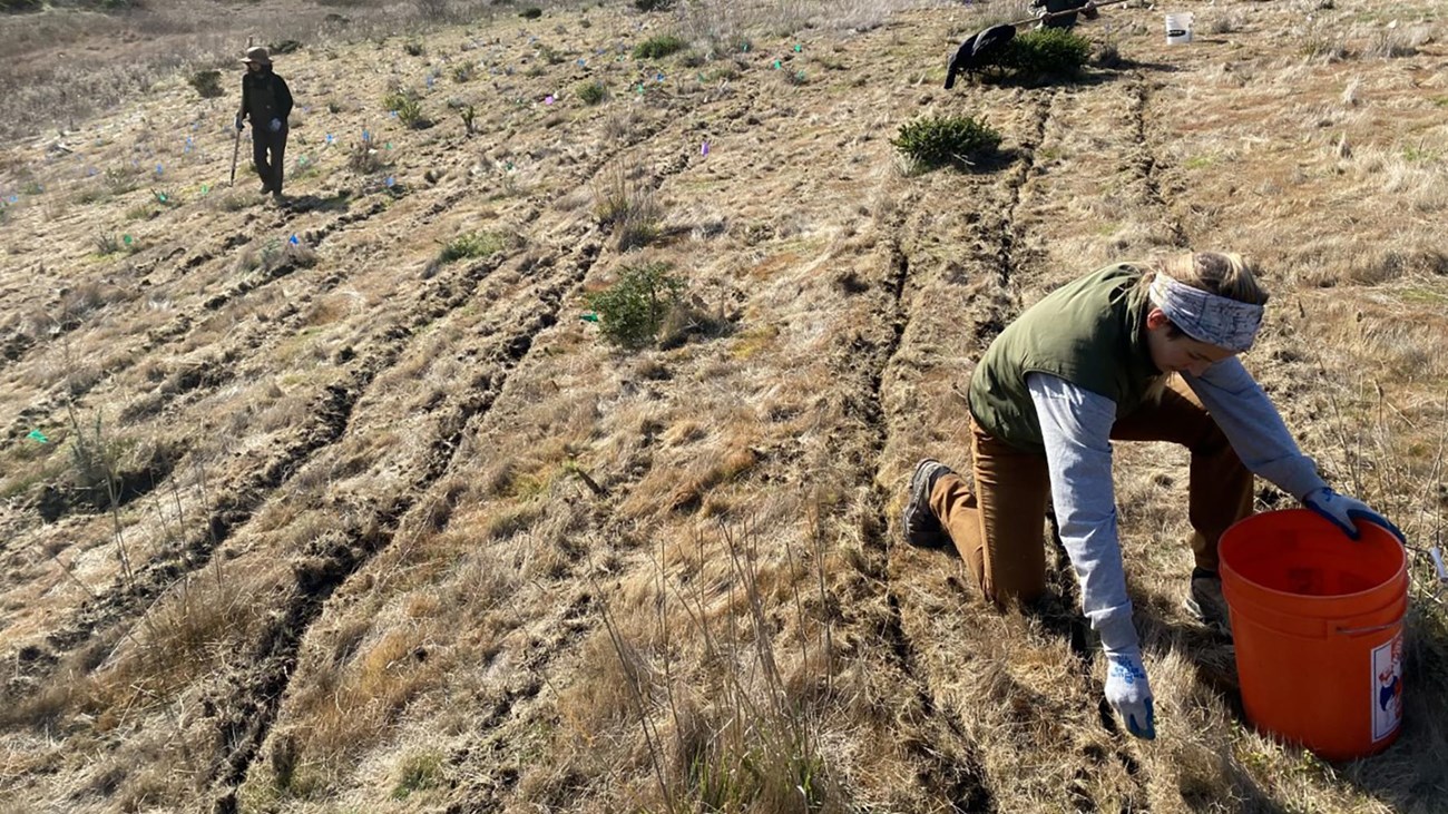 Two people stand in a field of tall plants. One holds a tool.