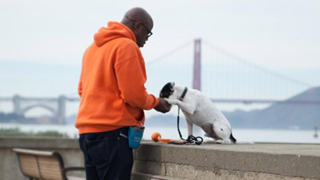 Man gives small white dog a treat on concrete ledge overlooking GG Bridge. 