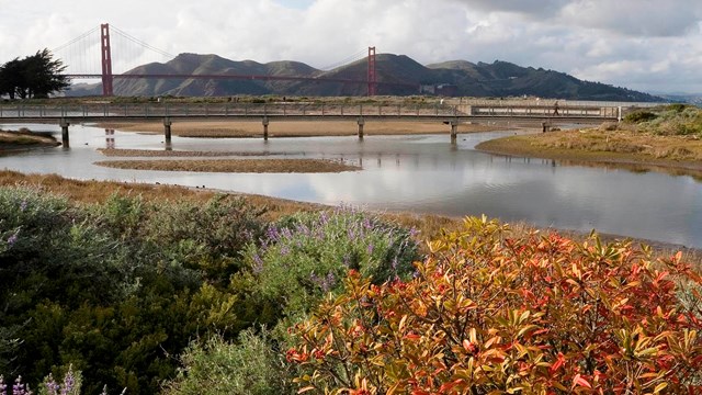 Scenic shot of Crissy Field estuary with golden gate bridge in the background.