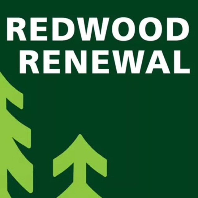 Redwood Renewal graphic featuring redwood tree silhouettes