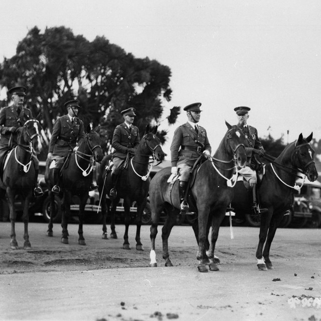 Horses from different times and places. 