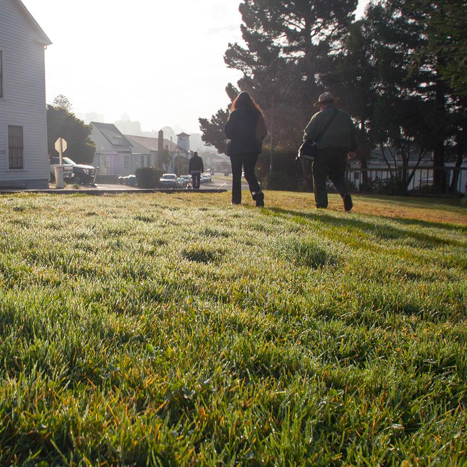 dutch angle of people walking on grassy path