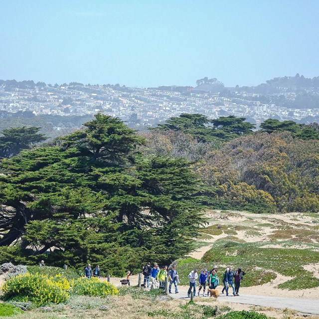 people walking along trail in front of suburban hillside