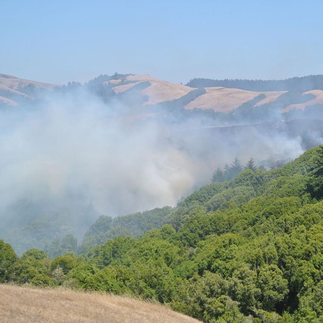 Smoke from fire at Bolinas Ridge.