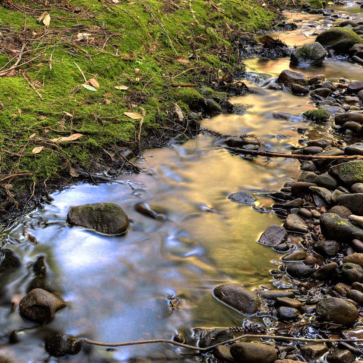 Image of rocky stream.