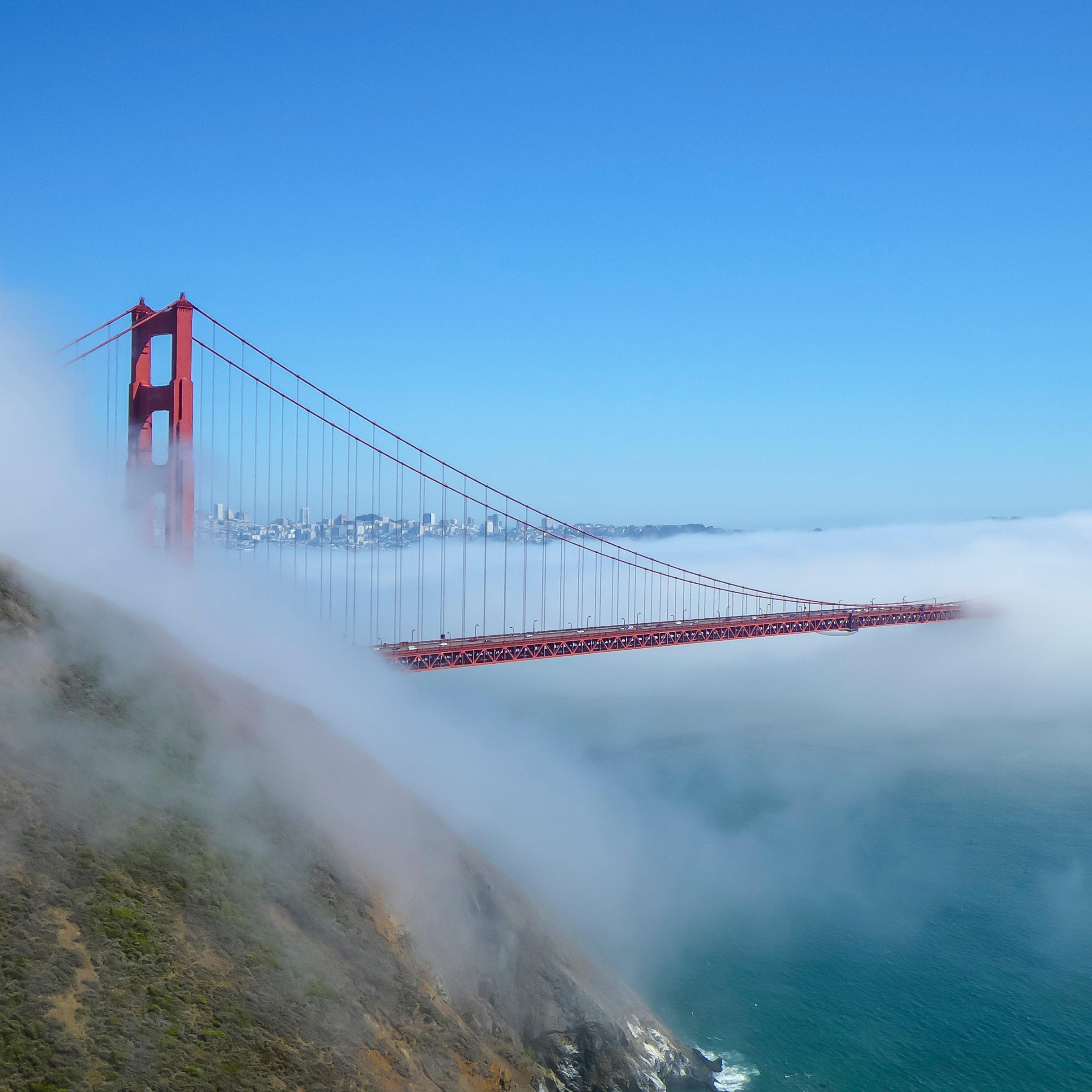 The golden gate bridge shrouded in fog, extending from behind a green cliffface.