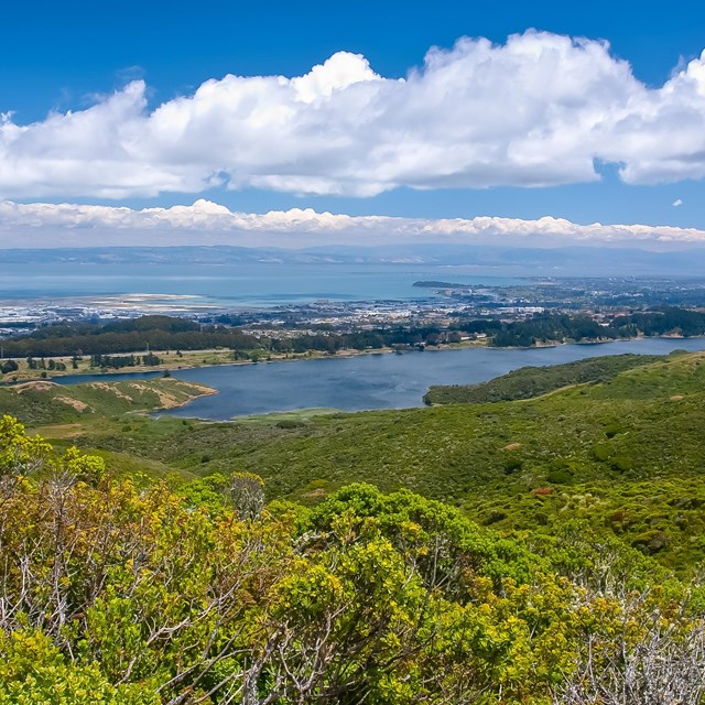 Green covered hills descend to an open lake and bay. White puffy clouds fill the sky. 