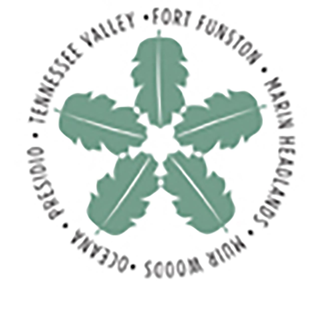 Nursery' five leaves in star shape logo