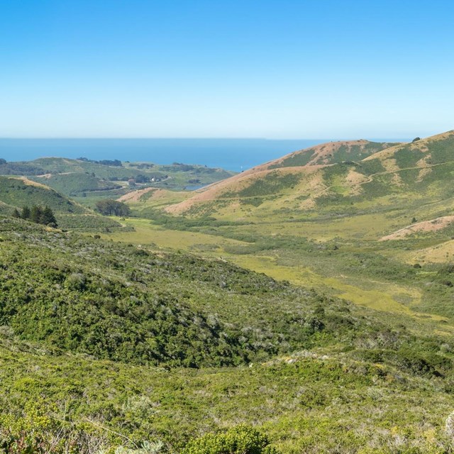 Grass and chaparral covered hills surround a a valley that leads to the ocean. 