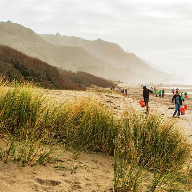 People cleaning up Stinson Beach