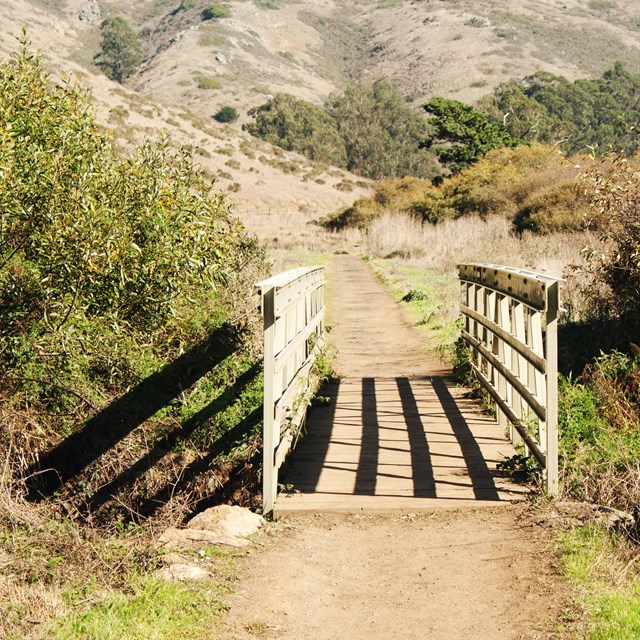 Trail path at Tennessee Valley 