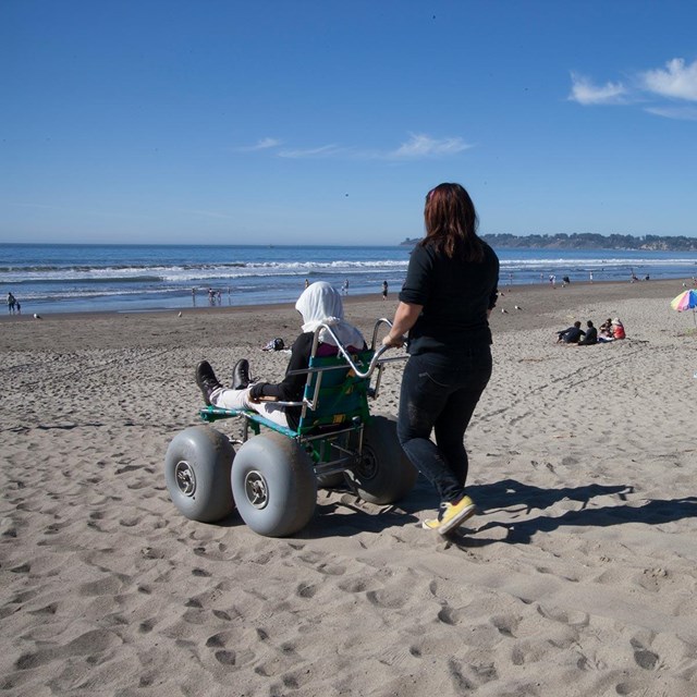 women pushes beach wheel chair toward ocean