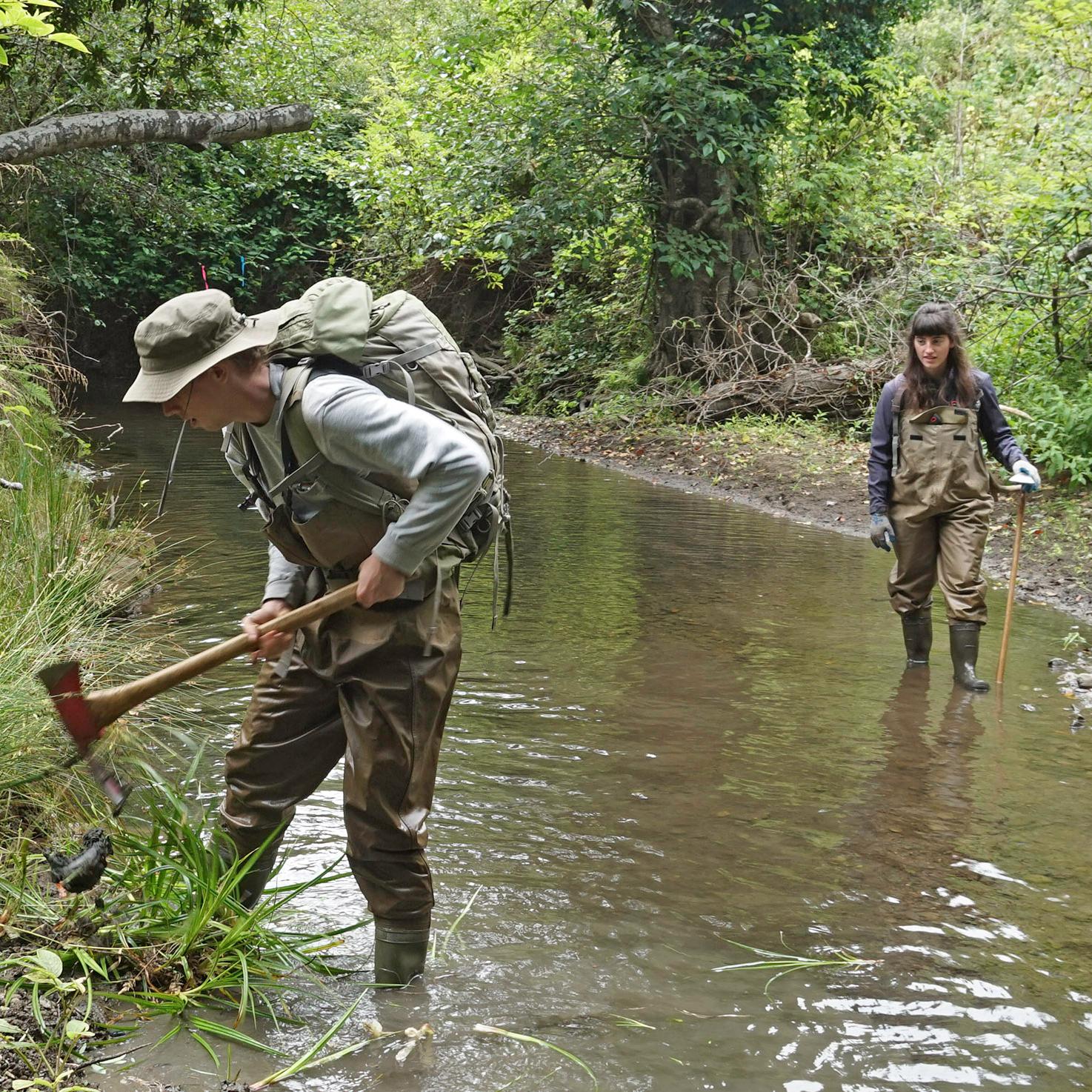 Person with axe and wearing waders working in Redwood Creek