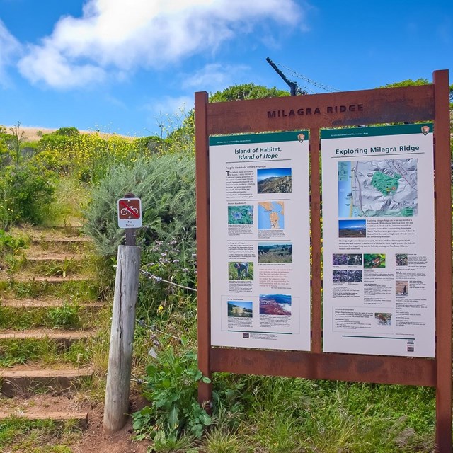 A view of stairs going up and an informational sign. 
