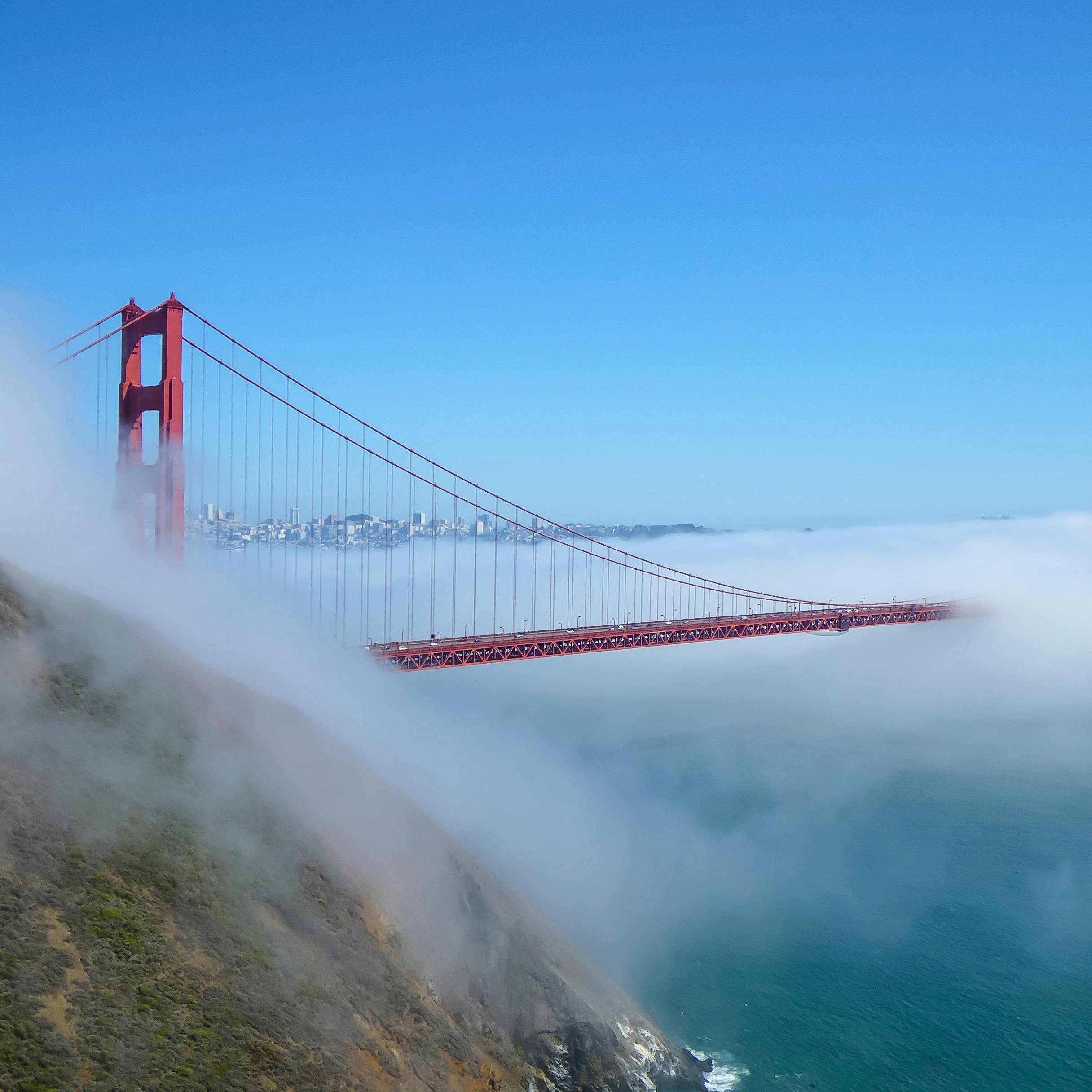 The Golden Gate Bridge extends in a foggy bank from the green hills of Hawk Hill.