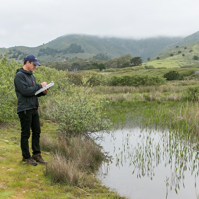 Researcher takes measurements in a wetland habitat.
