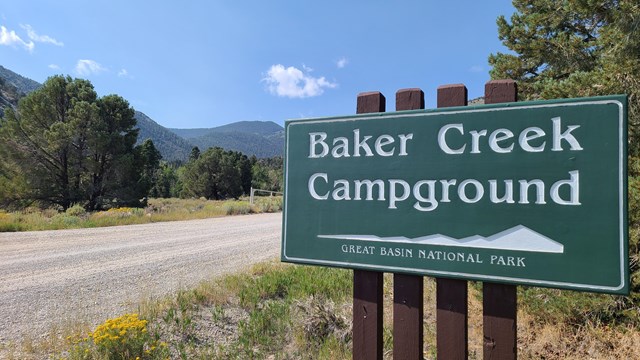 A road in the background is partially blocked by large green sign with text "Baker Creek Campground"