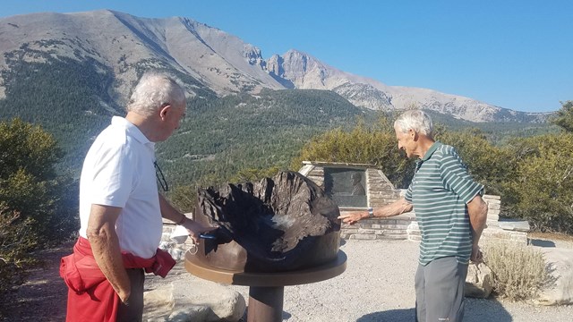 Partners group admiring new exhibit that they help install