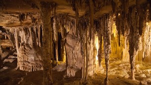Stalactites, stalagmites and other formations in yellow light. Photo credit: Kee Ylp (flickr)