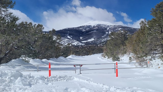 A snow covered road surrounded by trees has a closed metal gate across it with cones in front.