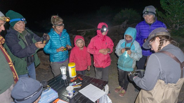 Children learning about bats during a bioblitz