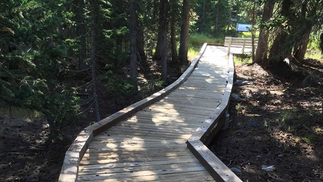 A wooden boardwalk stretches forward and to the right leading to a bench in a forest environment