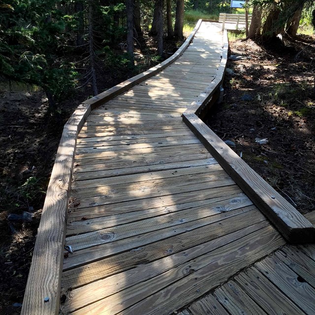 A brown, wooden boardwalk leads into trees during the daytime with light shining through the canopy