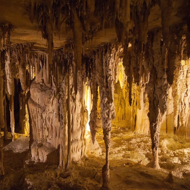 Stalactites, stalagmites and other formations in yellow light. Photo credit: Kee Ylp (flickr)