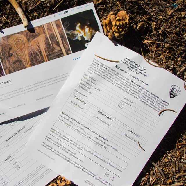 Permits and paperwork laying in pine duff