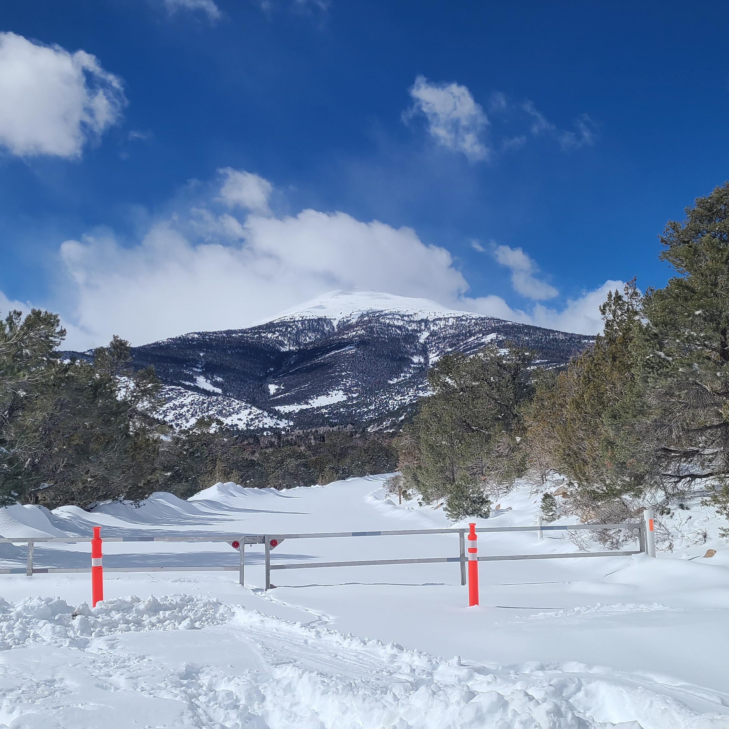 A snow covered road surrounded by trees has a closed metal gate across it with cones in front.