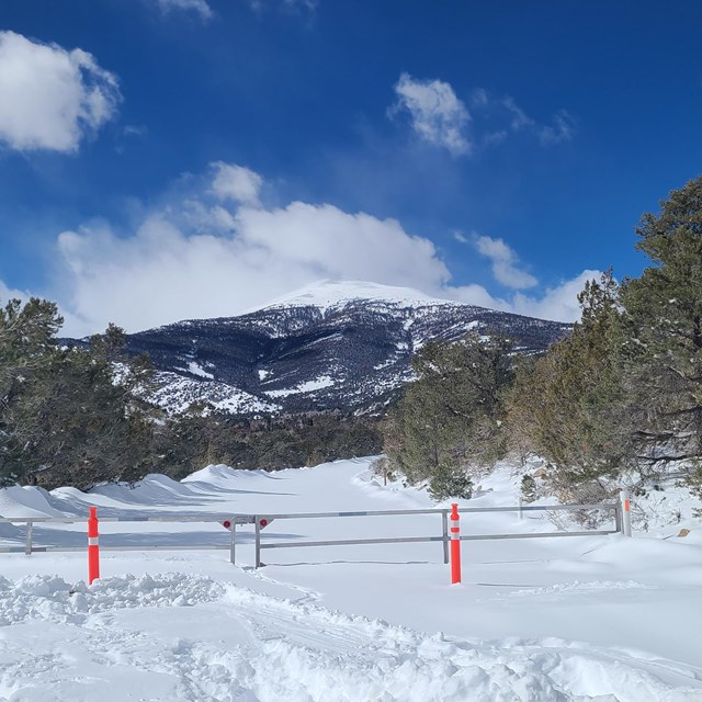 A snow covered road surrounded by trees has a closed metal gate across it with cones in front.