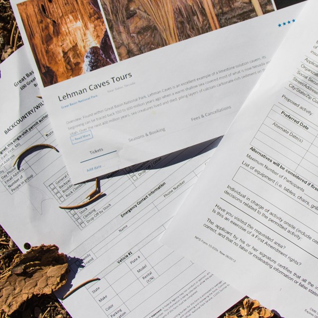 Paper permits laying on pine needles