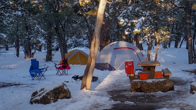 In a forested campground, two tents are side by side with a picnic table and two chairs.