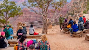 People sitting on log benches in an outdoor amphitheater listening to a ranger talk.