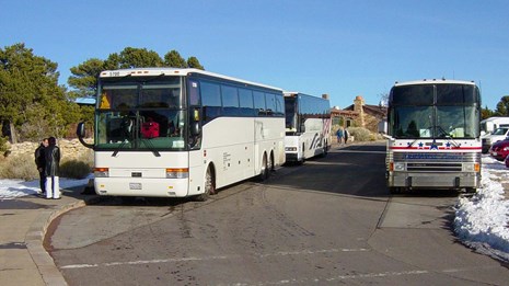 Three large tour buses are parked in a loading zone.
