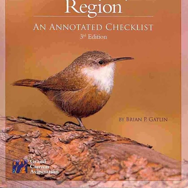 A photo of a book cover featuring a canyon wren.