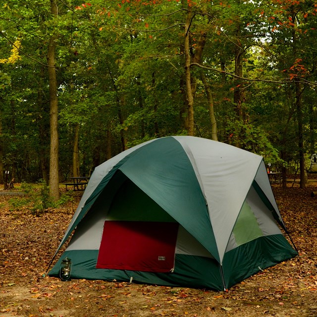 A dome tent stands in the Greenbelt Park campground